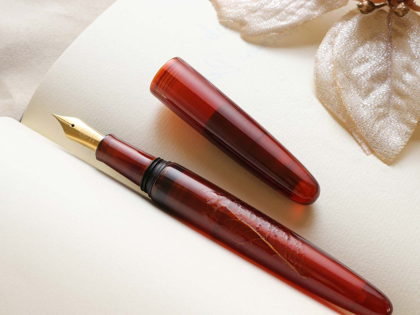 Tamesukashi Toumei - Kiei Camellia Japonica - Wancherpen International