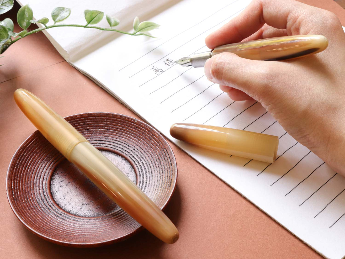 Tsuno Fountain Pen - Wancherpen International