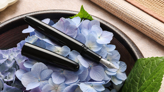 Reintro Series - True Ebonite