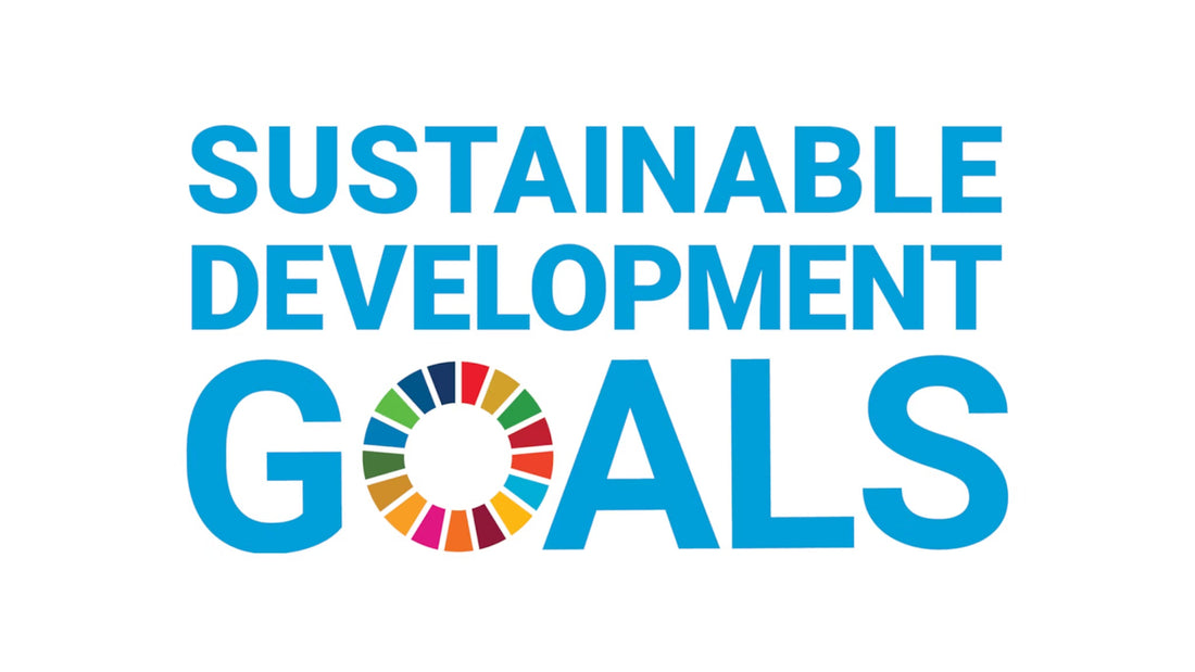 Wancher's SDG Declaration