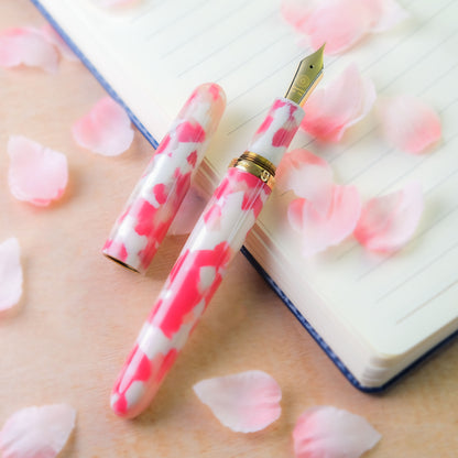 Wancher × Kyoto Celluloid Dream Pen SAKURA Japanese fountain pen detail close-up