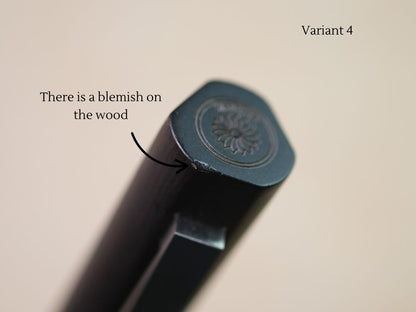 Meiji Titanium Ballpoint Pen [AS IS Sale]