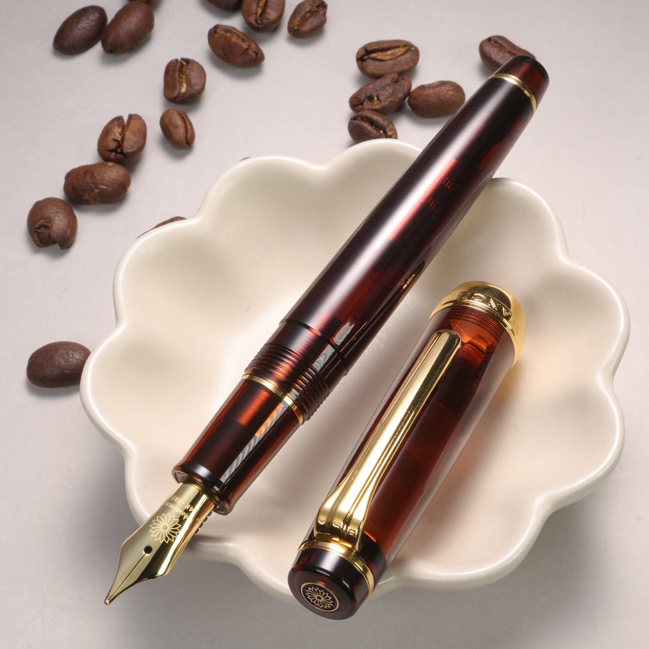 Mocha Brown Fountain pen 14K with gold accents on a white dish with coffee beans