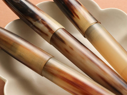 Close Up Buffalo horn fountain Pen Wancher