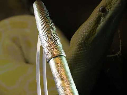Yakumo-nuri Chijimi - Nishikihebi Fountain Pen